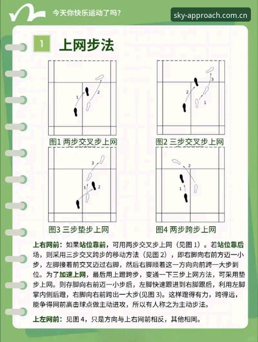 星空体育实时比分避坑指南：从入门到精通的操作教程